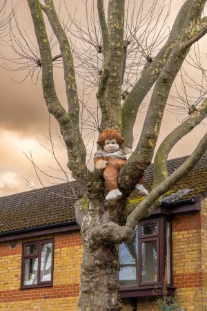 A stuffed monkey, dressed in a t-shirt, at the top of a tree, resting on the branches of the trees looking down on a London street with typical houses.