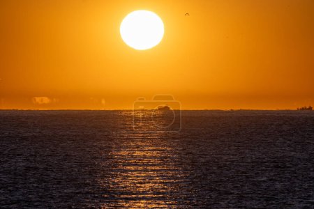 Bright yellow sunrise sun illuminating flying seagulls and a fis