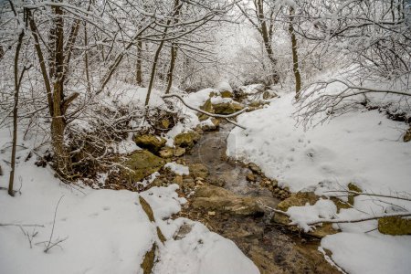 Photo for Snow-covered riverbed on the slope of a winter mountain - Royalty Free Image