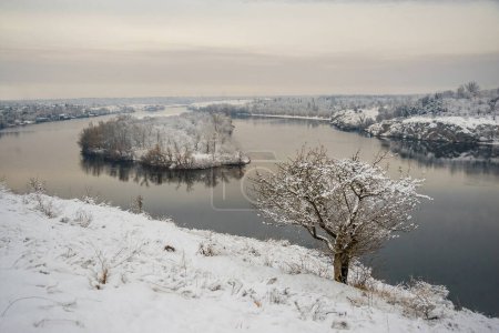 Photo for Snow-covered tree on the slope of the winter river against the background of the island - Royalty Free Image