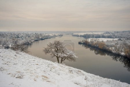 Photo for Snow-covered tree on the slope of the winter river - Royalty Free Image