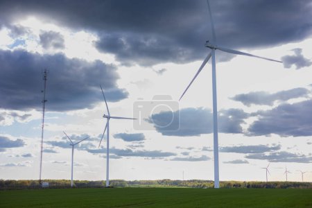 Photo for Wind farm on the cape. Wind turbine in a wheat field on a sunny summer day. High quality photo - Royalty Free Image