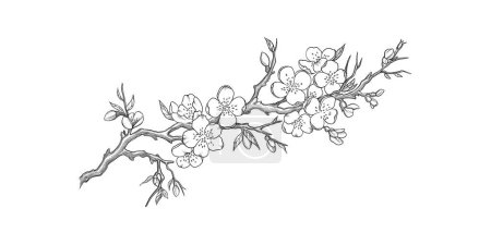 Illustration for Sakura flower design element. Set of geometric shapes. Modern linear design emblem. Modern abstract linear compositions and graphic design elements. - Royalty Free Image