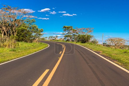 Foto de Detalle de una curva de la carretera pavimentada en Brasil - Imagen libre de derechos