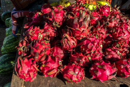 Téléchargez les photos : Fruit dragon rouge avec pulpe rouge. Hylocereus costaricensis, est exposé dans un marché de rue au Brésil. Cactus nocturne costaricain connu, c'est une espèce de cactus originaire d'Amérique centrale. - en image libre de droit