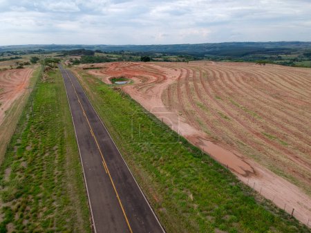 Vue aérienne par drone d'un terrain avec un champ de café nouvellement planté traversé par une route rurale pavée, dans l'État de Sao Paulo, Brésil