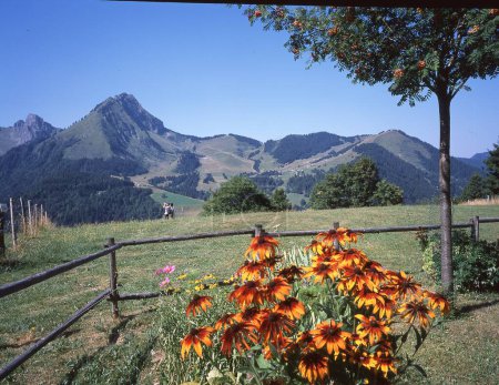 beautiful landscape with a mountain in the mountains Poster 644309918