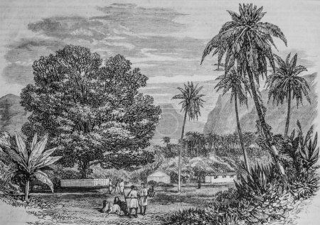 Téléchargez les photos : Tamarinier du capitaine Cook dans l'île de Tahiti, Illustre Univers, Editeur Michele Levy 1869 - en image libre de droit