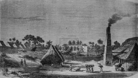 Une raffinerie de sucre dans l'île de Cuba, l'illustre univers, Editeur Michele Levy 1869