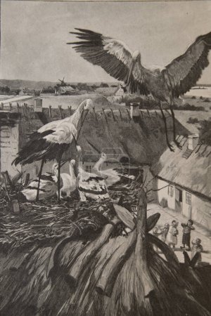 Les cigognes, les contes d'Andersen, illustrations de Hans Tegner, éditeur Boivin et Cie 1870