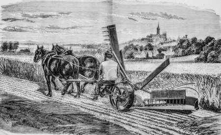 Foto de Brizay Experimental Farm, las grandes fábricas de Turgan, Hatier Edition 1888 - Imagen libre de derechos