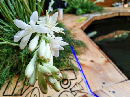 Foto de Polianthes tuberosa corona de flores sobre un fondo de mesa de madera - Imagen libre de derechos