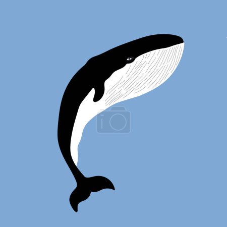 Illustration for A hand drawn whale on blue background. Ocean and sea life theme. Hand drawn artwork. - Royalty Free Image