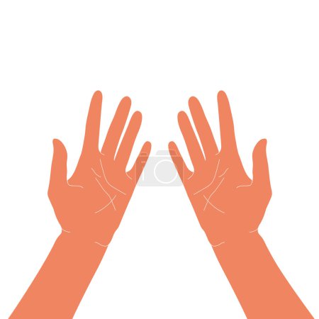 Top view on two hands, palms up. Vector illustration isolated on white background