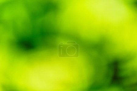 Photo for Yellow and green blurred background using dandelions in a yard - Royalty Free Image