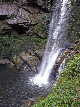 Photo for Huacamaillo waterfall near Tarapoto - Peru - Royalty Free Image