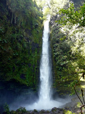 Waterfall in Huerquehue National Park, Puerto Varas - Chile