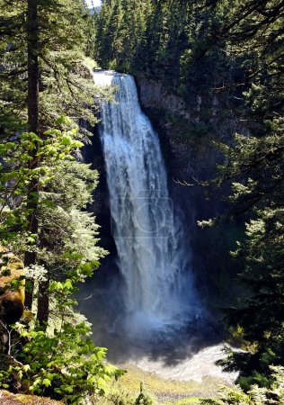 Téléchargez les photos : Salt Creek waterfall in the Columbia River Gorge Scenic Area, Oregon - USA - en image libre de droit