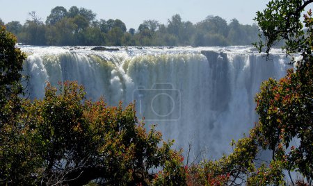Photo for Victoria Falls - Devils Pool - Zimbabwe - Royalty Free Image