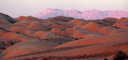 Téléchargez les photos : Deserts - Wahiba Dunes in the Omani Desert - Oman - en image libre de droit