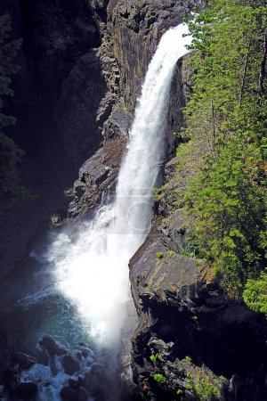 Téléchargez les photos : Parc provincial Elk Falls sur la rivière Campbell - île de Vancouver, Canada - en image libre de droit
