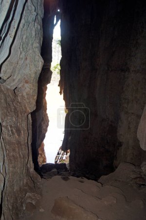 Téléchargez les photos : Grotte sur la rivière Mananbolo, Tsingy de Bemaraha, Melaki - Madagascar - en image libre de droit