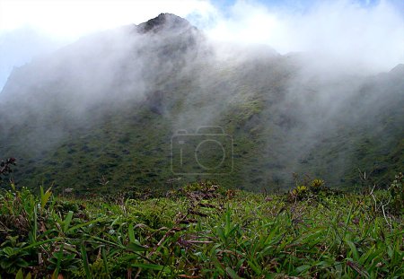 Téléchargez les photos : Mont Pel e, île de Martinique - France - en image libre de droit