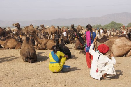 Foto de Feria del Camello de Pushkar, Rajastán - India - Imagen libre de derechos