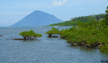 Téléchargez les photos : Bunaken Island, Sulawesi Island Celebes - Indonésie - en image libre de droit