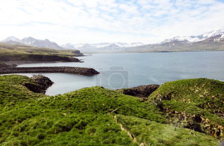 Foto de Santuario del Puffin, Borgarfjordur Eystri, Isla Norte - Islandia - Imagen libre de derechos