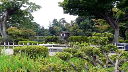 Photo for Kenrokuen Gardens, Kanazawa, Ishikawa Honshu Island - Japan - Royalty Free Image