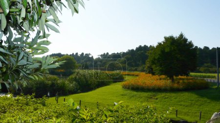 Foto de Mito Gardens, Honshu Island Japón - Japón - Imagen libre de derechos