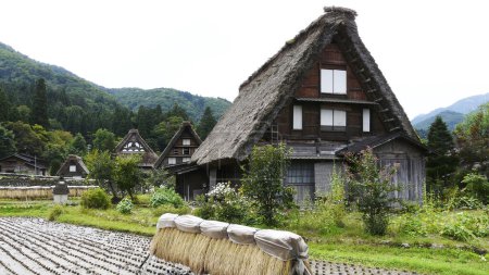 Foto de Casas de estilo Gassho-zukuri, Shirakawago Ogimachi, Isla Honshu - Japón - Imagen libre de derechos