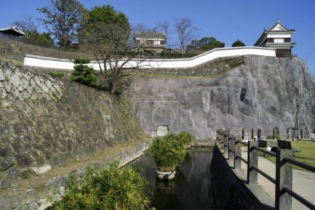 Téléchargez les photos : Château d'Usuki, préfecture d'Oita, île de Kyushu - Japon - en image libre de droit