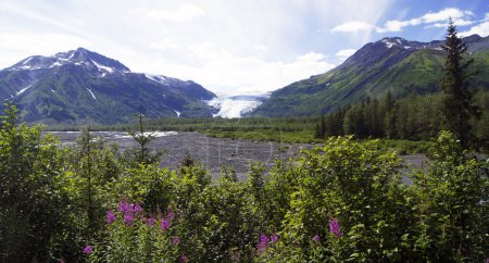 Téléchargez les photos : Sortie Glacier, péninsule de Kenai, Alaska - États-Unis - en image libre de droit