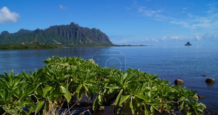 Foto de Kuaola Regional Park, Isla de Oahu, Hawái - Estados Unidos - Imagen libre de derechos