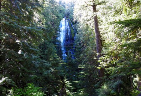 Téléchargez les photos : Proxy Falls, Columbia River Gorge Scenic Area, Oregon - États-Unis - en image libre de droit