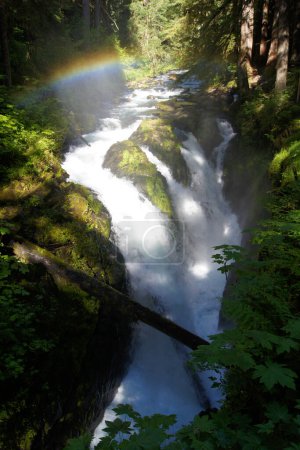Arco iris en Sol Duc, Parque Nacional Olímpico, Estado de Washington - Estados Unidos