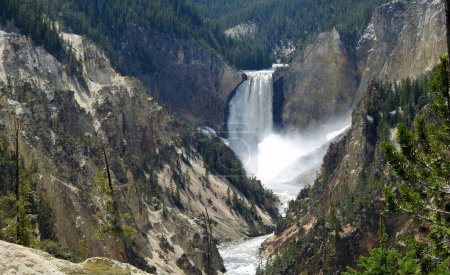 Lower Falls, Yellowstone Wyoming - Vereinigte Staaten