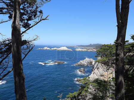 Coastal landscape of the Monterey Peninsula, California - United States