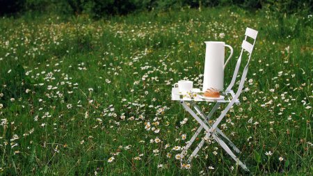 Téléchargez les photos : Parmi la pelouse de camomille se trouve une chaise blanche. Sur elle il y a une composition d'une cruche blanche, une tasse blanche avec du thé, un pain et un bouquet de camomilles. Photo de haute qualité - en image libre de droit