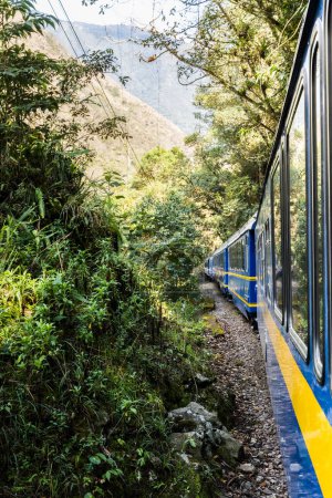 Photo for Lateral view of train in motion in the nature. Railroad train travel and tourism - Royalty Free Image