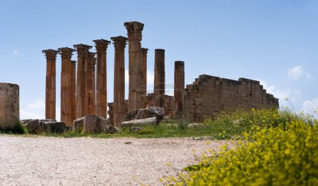 Téléchargez les photos : Vue panoramique des colonnes du Temple de Zeus, Jerash, Ancienne ville romaine de Gerasa - en image libre de droit