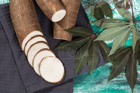 Téléchargez les photos : Racine de manioc biologique fraîche - Manioc Esculenta ; sur fond en bois - en image libre de droit