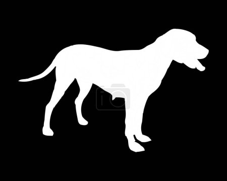 Illustration for Bulgarian scenthound Dog Vector Silhouette - Royalty Free Image
