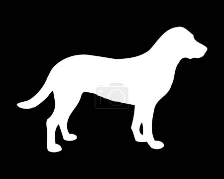 Illustration for Entlebucher Mountain Dog Vector Silhouette - Royalty Free Image