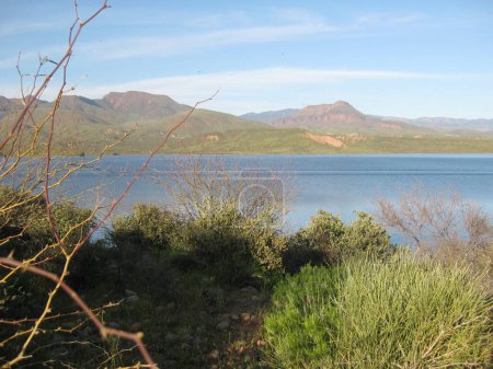 Theodore Roosevelt Lake scenic desert reservoir in Arizona is north of Phoenix along the Salt River. Its a great recreation spot for camping, boating, and fishing. 