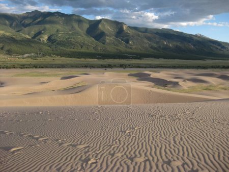 Foto de Donde las dunas se encuentran con las montañas, el Parque Nacional Great Sand Dunes en Colorado. Foto de alta calidad - Imagen libre de derechos