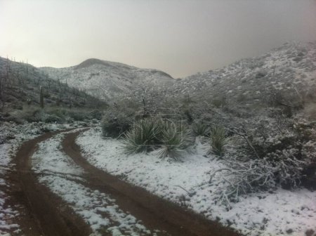 Foto de Snowy Morning on a Dirt Road in Arizona Desert Near Superior. High quality photo - Imagen libre de derechos