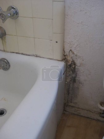 Water Damage and Moldy Drywall near Bathtub. High quality photo
